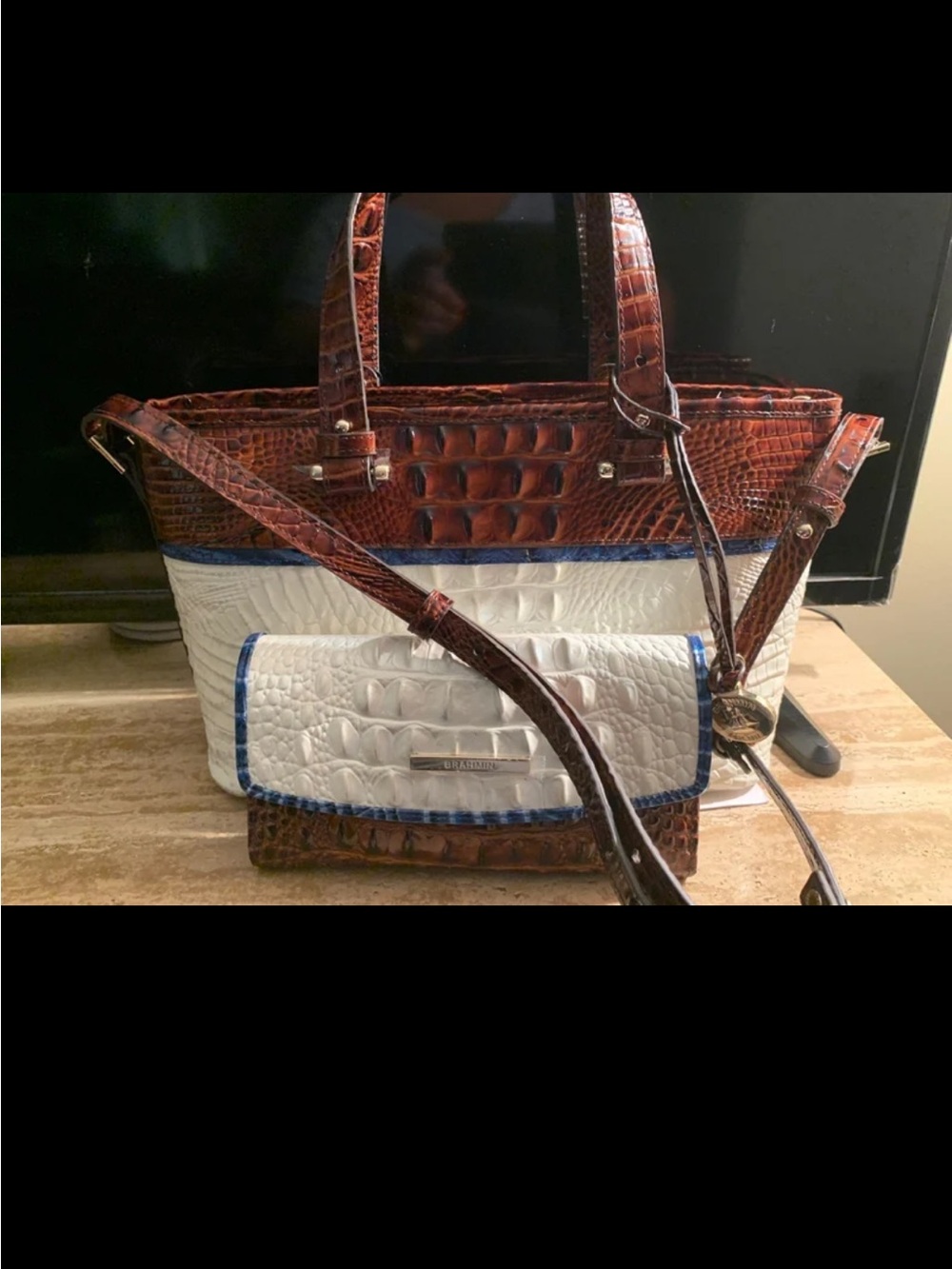 NWT Brahmin Asher Handbag and  Checkbook Wallet